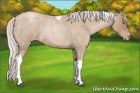 Horse Color:Silver Blue Roan Pearl Tobiano Frame 