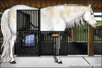 Horse Color:Chocolate Silver Brown Pearl Dun Sabino Splash Tobiano Frame 