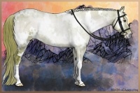Horse Color:Watercolor White Spotted Liver Red Onyx Ice
