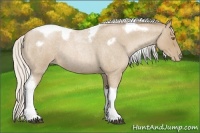 Horse Color:Silver Blue Roan Pearl Tobiano Frame 