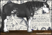 Horse Color:Smoky Black Sabino 