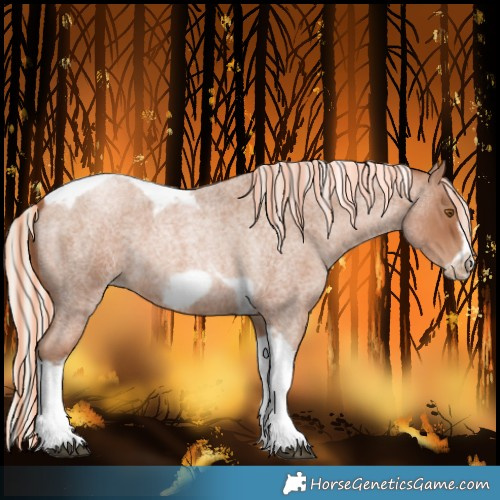 Horse Color:Painted Silver Blue Roan Pearl Tobiano Frame 