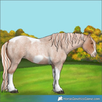 Horse Color:Painted Silver Blue Roan Pearl Tobiano Frame 