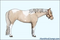 Horse Color:Silver Blue Roan Pearl Tobiano Frame