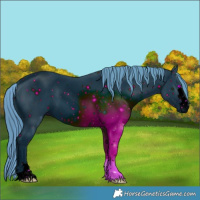Horse Color:ERROR: UNKNOWN ANOMALY