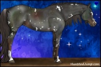 Horse Color:White Spotted Liver Chestnut Sabino 