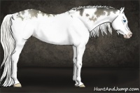 Horse Color:White Spotted Liver Red Dun Splash 