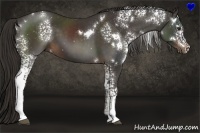 Horse Color:White Spotted Liver Chestnut 