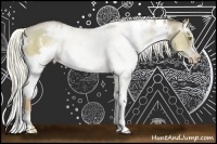 Horse Color:White Spotted Liver Red Dun Pearl