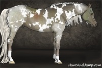 Horse Color:White Spotted Liver Red Dun 