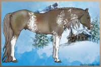 Horse Color:White Spotted Chocolate Palomino Sabino 