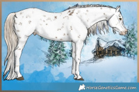 Horse Color:White Spotted Chocolate Palomino Sabino 