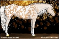 Horse Color:Silver Amber Champagne Appaloosa