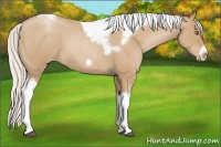 Horse Color:Silver Blue Roan Pearl Tobiano Frame 