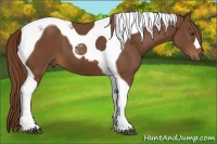 Horse Color:Chestnut Tobiano