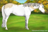 Horse Color:Silver Buckskin Roan Dun Splash Frame 