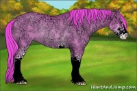 Horse Color:Watercolor Liver Red Dun Ice Sabino Rabicano