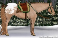 Horse Color:Red Roan Snowcap 