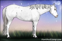Horse Color:Blue Roan Splash Snowcap 