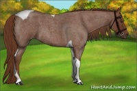 Horse Color:Red Roan Tobiano 