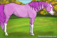 Horse Color:Watercolor Red Dun Splash