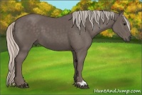 Horse Color:Silver Black 