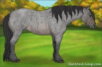 Horse Color:Buckskin Ice Roan