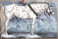 Horse Color:Red Roan Appaloosa 
