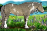 Horse Color:White Spotted Chocolate Palomino Rabicano 