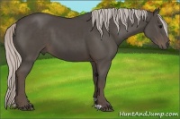Horse Color:Silver Black 