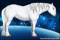 Horse Color:Gray Chestnut 