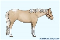 Horse Color:Silver Blue Roan Pearl Tobiano Frame