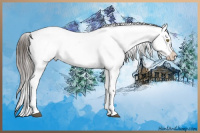 Horse Color:Brown Dun Appaloosa Brindle