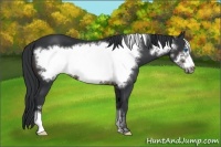 Horse Color:Brown Frame 