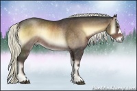 Horse Color:Liver Red Onyx Rabicano 