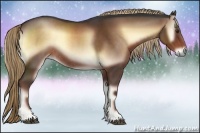 Horse Color:Liver Red Onyx Rabicano 