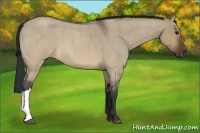 Horse Color:Brown Roan Dun 