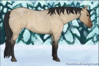 Horse Color:Brown Roan Dun 