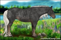 Horse Color:Liver Chestnut Sabino Rabicano