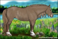 Horse Color:Liver Red Dun Sabino Rabicano