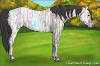 Horse Color:Smoky Grullo Ice Roan 