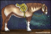 Horse Color:Red Onyx 
