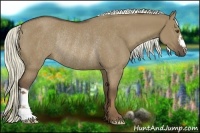 Horse Color:Liver Red Dun Rabicano