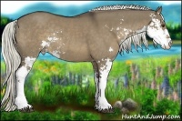 Horse Color:Liver Red Dun Sabino Rabicano