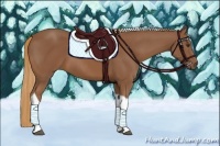 Horse Color:Chestnut Tobiano 