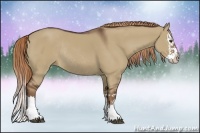 Horse Color:Liver Red Dun Sabino Splash Rabicano