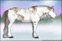 Horse Color:Liver Red Dun Sabino Splash