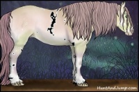 Horse Color:Watercolor White Spotted Perlino Onyx Rabicano 