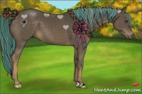 Horse Color:Painted Liver Chestnut