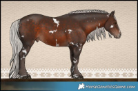 Horse Color:White Spotted Silver Brown Mushroom Sabino 